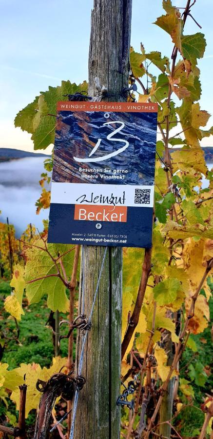 Weingut U. Gaestehaus Becker Platten Εξωτερικό φωτογραφία