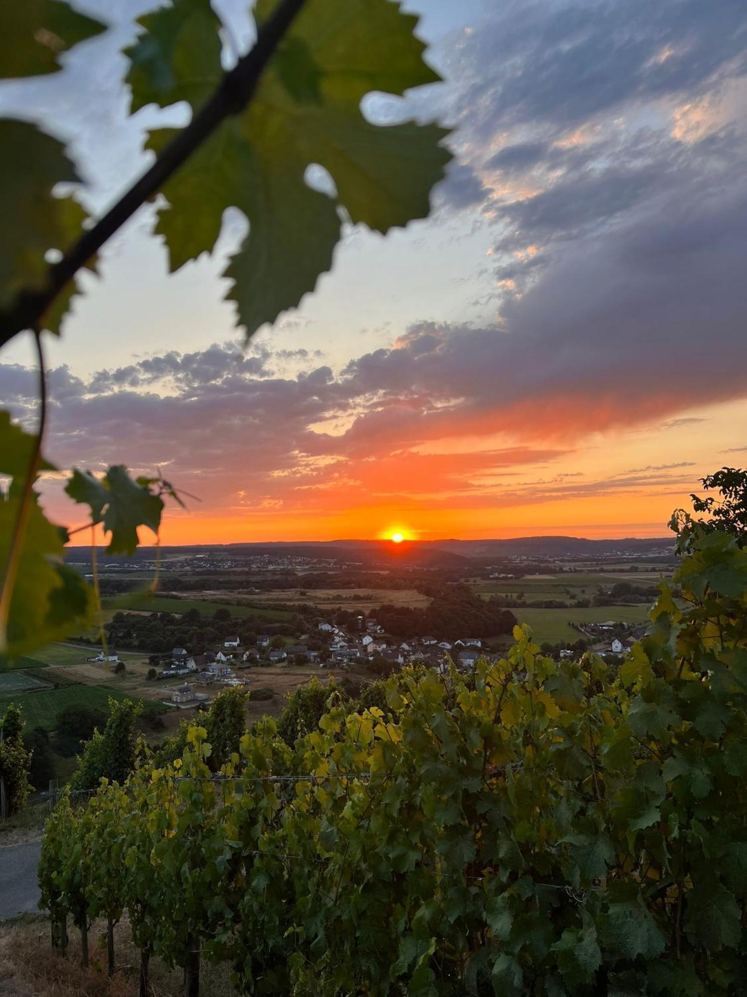 Weingut U. Gaestehaus Becker Platten Εξωτερικό φωτογραφία